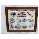 Early 1950s Framed Advertisement for Seagram’s ‘Canadian Hunter’ Featuring Endangered Wildlife of No