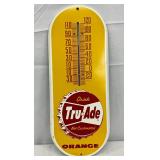 Tru-Ade Thermometer, 6×15 Inches