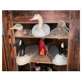 Collection Duck Decoys