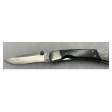 Buck USA Folding Lockback Knife with Stainless Steel and Wood Handle