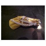 14 K Gold and Diamond Race Horse Head Pin