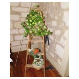Ladder & Plants