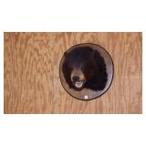 Talk Of The Town Auction