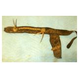 Cowboy belt & holster