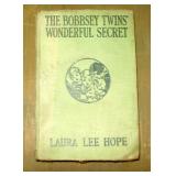 The Bobbsey Twins, Wonderful Secret