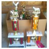 County Fair Trophies