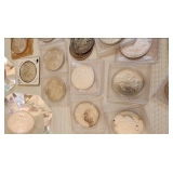 Morgan and Peace Silver Dollars