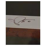 Stevie Ray Vaugn Photo Framed