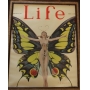 Holiday Hoopla Estate Sale!!