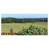 Estate of Louise Rankin, Deceased