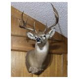 Estate Sale By Estate Liquidators