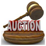 Wednesday Weekly Bluffton Auctions 