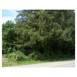 8 Lots Pence Springs WV