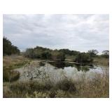 TEXAS RURAL PROPERTY OFFERING