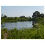 58 ACRES NORTHRUP/GIDDINGS, AREA 