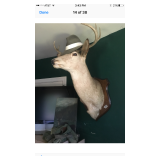 Canceled Estate Sale - New Milford, CT