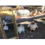 Danbury 1 Day Estate Sale