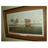 "Foggy Morning Cotton"