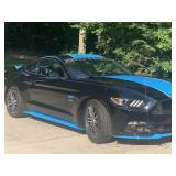 2017 Richard Petty (Petty