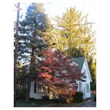 REAL ESTATE PUBLIC AUCTION & CONTENTS