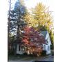 REAL ESTATE PUBLIC AUCTION & CONTENTS