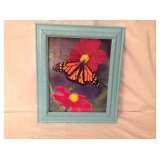 Butterfly in Aqua frame