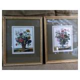 Framed Botanicals