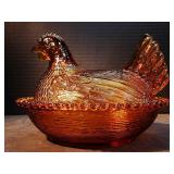 Amber Hen on Nest 
