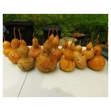 Birdhouse Gourds