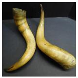 Antique Bull Horns