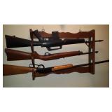 RIFLES