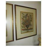 Framed antique print