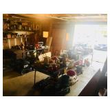 Garage items, lawn mower, hoses, Christmas lights, etc.