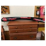 DALE EARNHART SPOILER