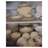 Franciscan desert rose