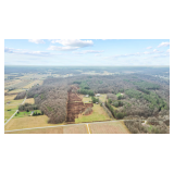 Real Estate Auction