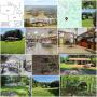203 Acres in Richland County offered in whole or in parts