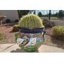 AWESOME Mesa Estate Sale! 1 DAY ONLY!