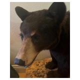 ONLINE AUCTION - TAXIDERMY IMAPALAS  BEARS ZEBRAS