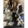 STUNNING STYLE LAS VEGAS AUCTION