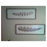Framed Feather Prints