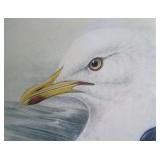 Closeup showing great detail