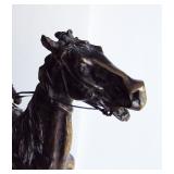 Closeup of Horses Head