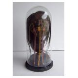 EArly Shrunken Head from Monkey Fur