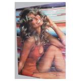 1976 Orig Farrah Fawcett Swimsuit Poster