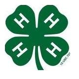 31st Lapeer County 4-H Spring Auction (Live) 