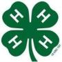 31st Lapeer County 4-H Spring Auction (Live) 