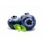 Blueberry Festival Auction 