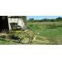 Joseph Bamberger Estate Auction (Live)