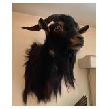 Antiques & Collectibles Online Auction